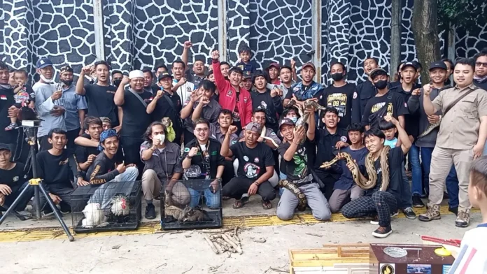 9 komunitas pecinta hewan