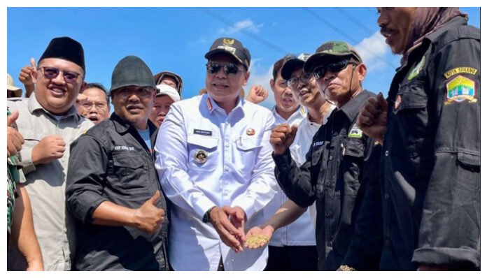 Hadiri Panen Raya Padi Serentak, Wali Kota Serang Budi Rustandi Dukung Kemandirian Pangan dan Petani Lokal (Banten TV/Jaya)