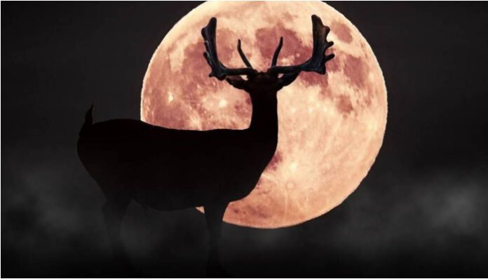 Ilustrasi Buck Moon (Foto: Secret Houston)