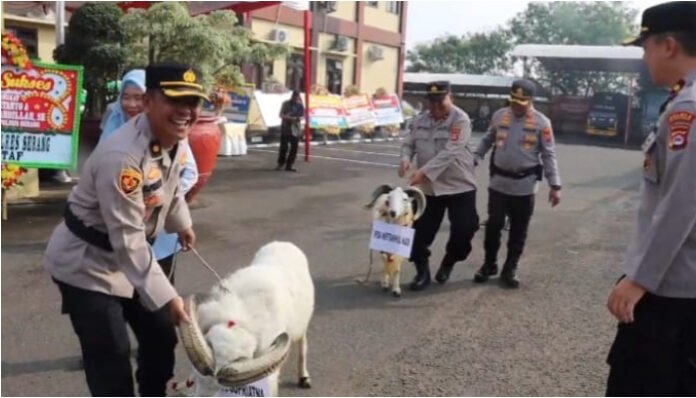 Kapolres Serang AKBP Condro Sasongko menyerahkan domba Garut sebagai bentuk penghargaan dan kenang-kenangan, saat dua anggota Polri resmi purna tugas. (Foto: Banten TV)