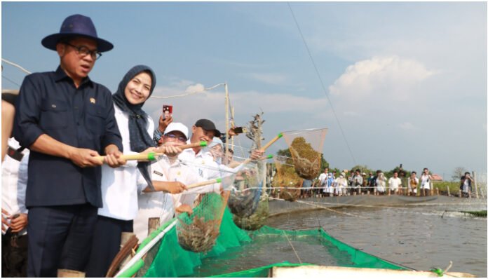Mendes PDT, Yandri Susanto didampingi Bupati Serang Ratu Rachmatuzakiyah Panen Udang Vaname Budidaya Sistem Bioflok di Desa Domas Rabu, 2 Juli 2025. (Foto: Dok. Diskominfo Kab. Serang)