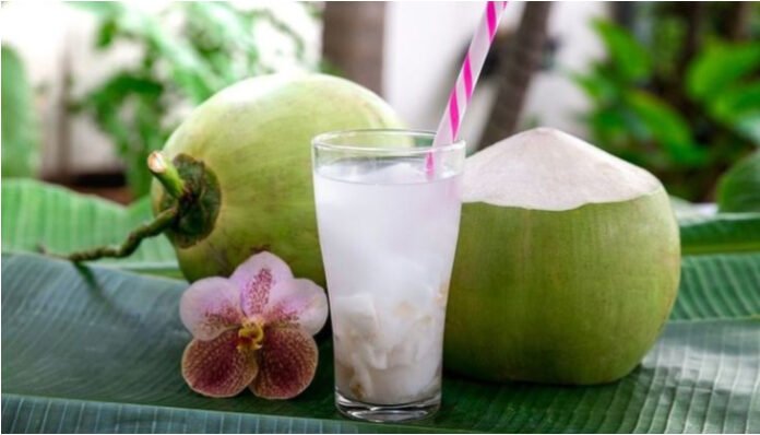Hal-hal yang perlu di perhatikan sebelum minum air kelapa.