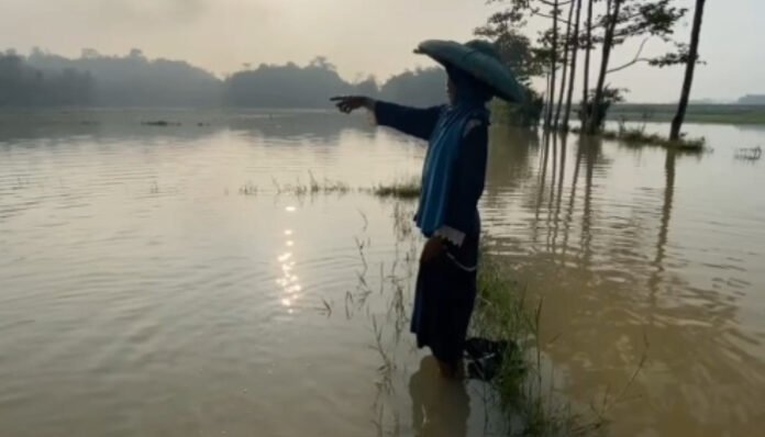 Puluhan Hektare Sawah di Lebak Terendam Banjir
