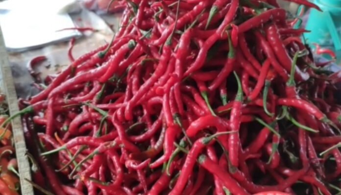 Harga Cabai di Pandeglang Tembus Rp70 Ribu Per Kilogram