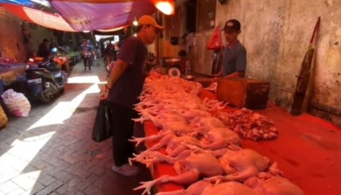 Harga Daging Ayam dan Telur di Lebak Melejit