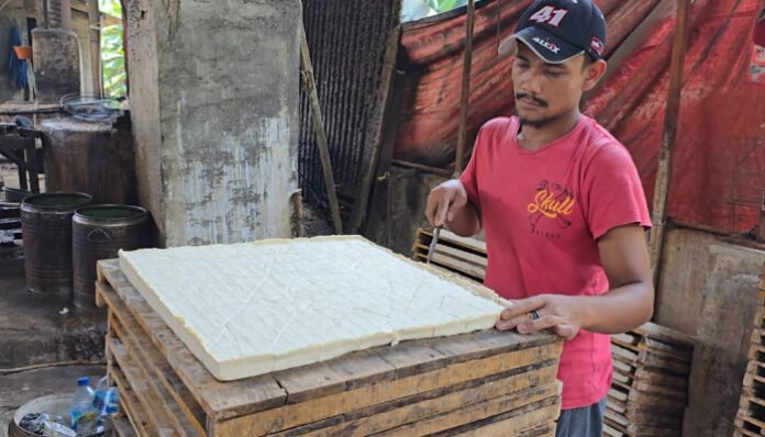 Harga Kedelai di Pandeglang Relatif Stabil
