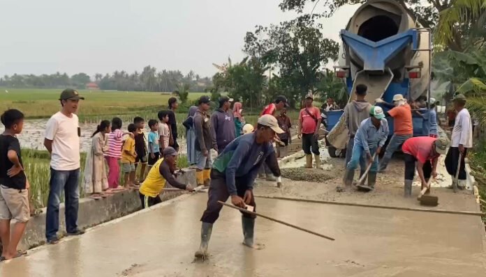 Pemdes Puser kembali bangun jalan usaha tani (Banten TV)