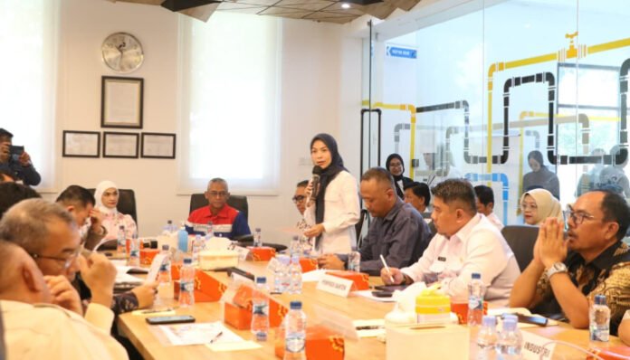 Bupati Serang Ratu Rachmatuzakiyah saat mendampingi Kunjungan Kerja Spesifik Komisi XII DPR RI di fasilitas PGN Bojonegara, Kecamatan Kramatwatu, Rabu, 24 September 2025.