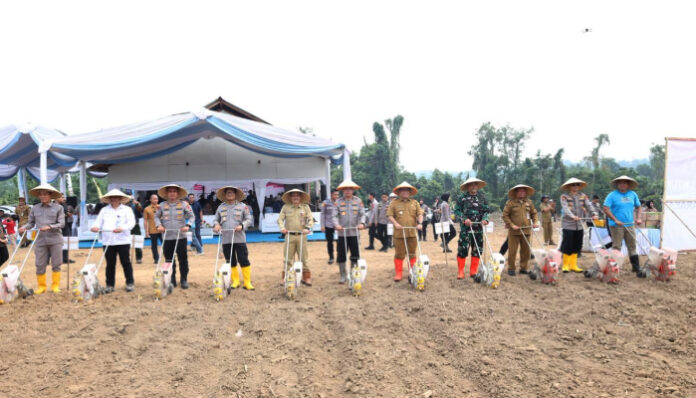 Polda Banten melaksanakan kegiatan tanam jagung serentak, yang dipusatkan di Desa Sangkak Manik, Kecamatan Cimarga, Kabupaten Lebak, pada Selasa, 9 September 2025.