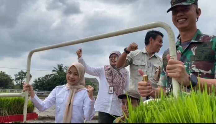 Zakiyah Canangkan Gerakan Tanam Padi Modern di Kecamatan Kramatwatu