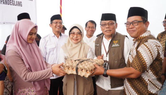 Bupati Pandeglang Dewi Setiani saat kegiatan pemberian bantuan paket nutrisi dan olahan daging Dam Haji untuk lokus sasaran stunting di Desa Wirasinga, Rabu, 8 Oktober 202