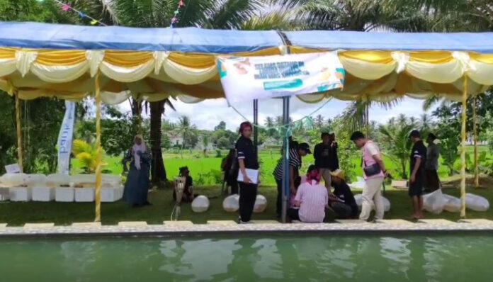 Suasana penjurian Festival Ikan Mas Sinyonya 2025, di Desa Bandung, Kecamatan Banjar, Kabupaten Pandeglang.