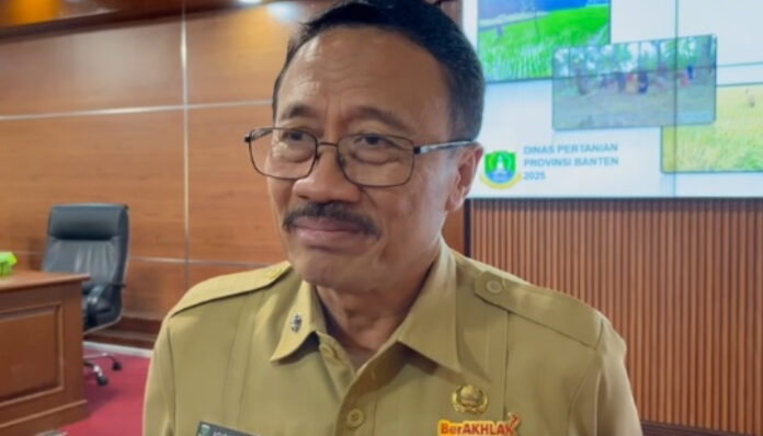 Kepala Dinas Pertanian (Distan) Provinsi Banten, Agus M. Tauchid