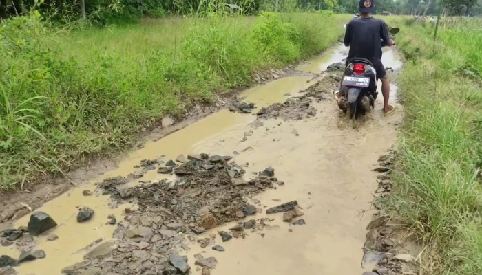 Kondisi Jalan penghubung antara Desa Bojen dan Desa Kuta Mekar, Kecamatan Sobang, Kabupaten Pandeglang yang rusak 