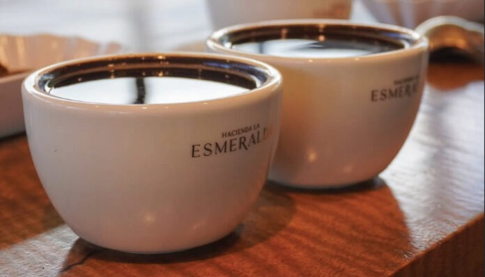 Kopi Rp11 Juta dari Dubai Pecahkan Rekor Dunia.