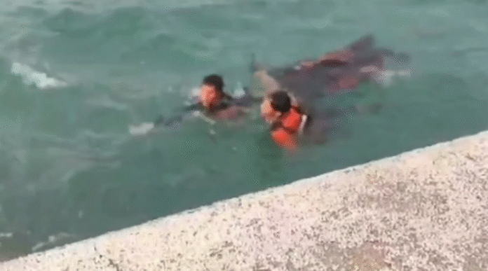 Mayat tanpa identitas dievakuasi oleh oleh TIM SAR di Pelabuhan Merak, Cilegon (Bantentv.com/ Ali)