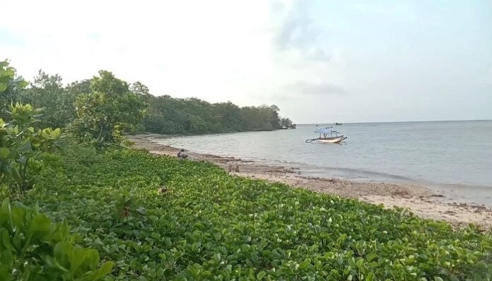 Pembangunan Pulau Popole masih dalam tahap kajian PT ASDP (Banten TV)