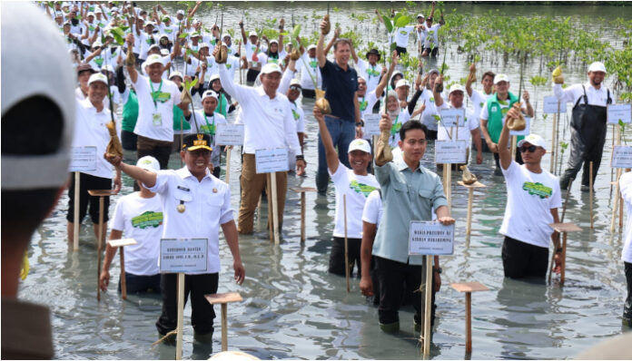 Wapres Gibran dan Gubernur Andra Soni Tanam Mangrove