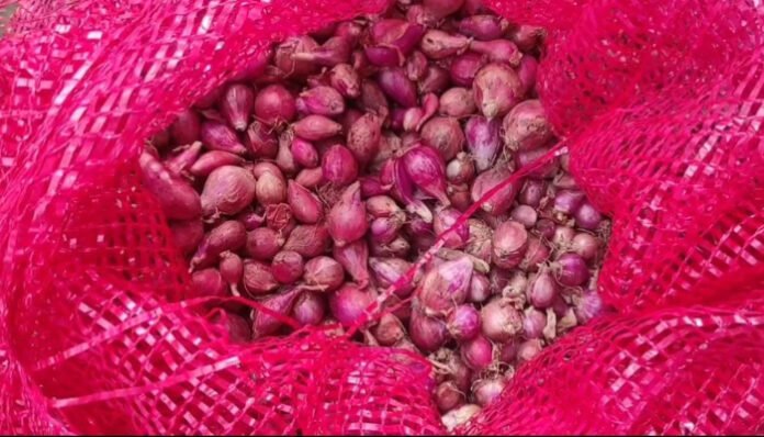 Bawang Merah dan Cabai Rawit Merah Naik