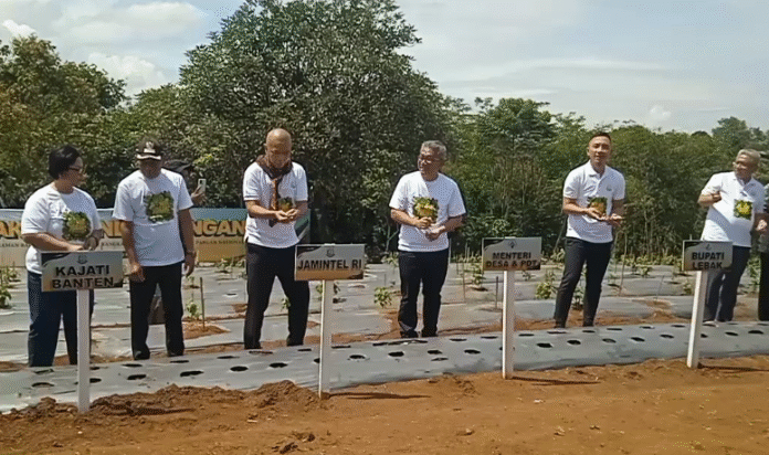 Jamintel Kejagung RI menanam bawang merah dan cabai di Desa Lebak Asih, Kecamatan Curugbitung, Kabupaten Lebak, Banten, pada Sabtu 22 November 2025 (Bantentv.com/ Nano)
