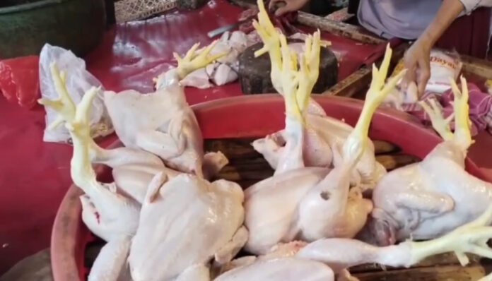 Harga Ayam Potong Naik