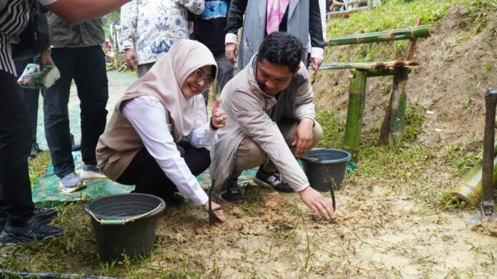 Bupati Pandeglang Raden Dewi menanam pohon kawao pada rangkaian Festival Aren Musang di Kampung Babakan Sabrang, Desa Cibaliung, Minggu 23 November 2025 (Bantentv.com/ Rangga)