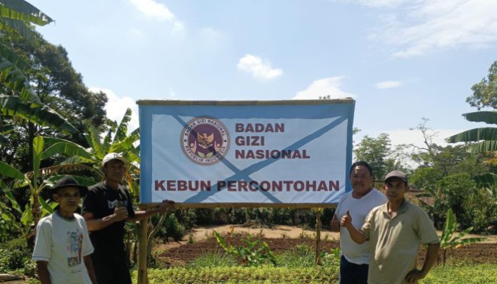 Anggota DPRD Pandeglang saat mengunjungi kebun percontohan di Campuraksanta.