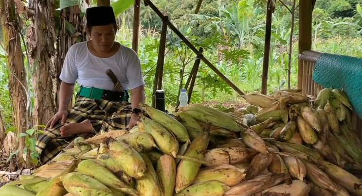 Permintaan jagung manis di Lebak meningkat menjelang Tahun Baru 2026 (Bantentv.com/ Nano)