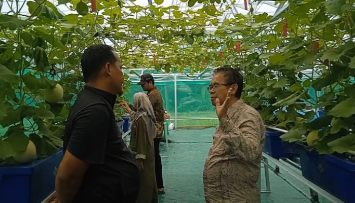 BUMDes Sumurbandung menggabungkan pertanian modern, kebun melon dan wisata agro. (Foto: Bantentv.com)