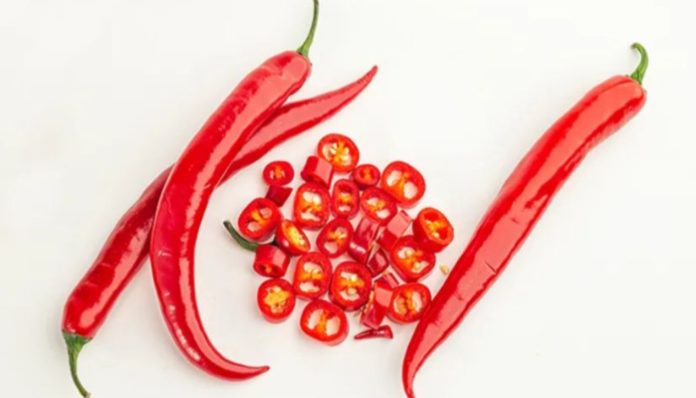 Ilustrasi Cabai Mengandung Capsaisin