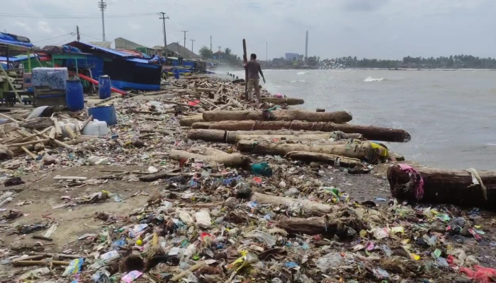 Gelombang Tinggi Picu Lautan Sampah dan Kayu Gelondongan di Pesisir Pandeglang
