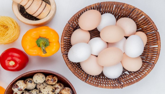Mana lebih sehat, telur ayam atau telur bebek (foto freepik)