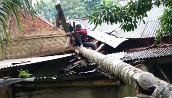Puting Beliung Terjang Cikeusik, Belasan Rumah Warga Rusak Tertimpa Pohon. (Foto: Istimewa)