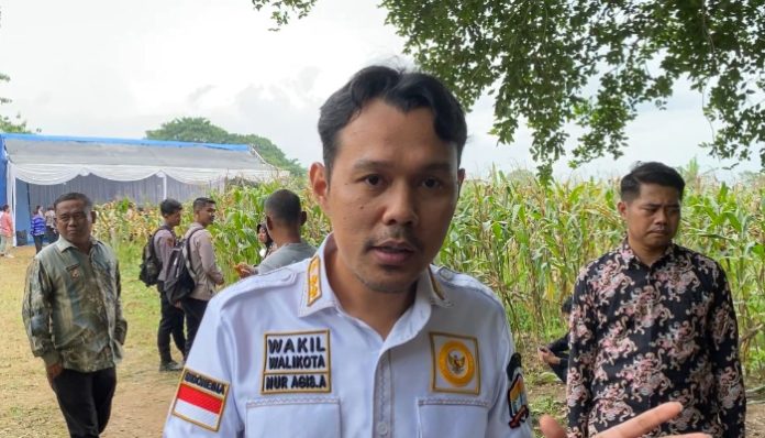 Wakil Wali Kota Serang, Nur Agis Aulia