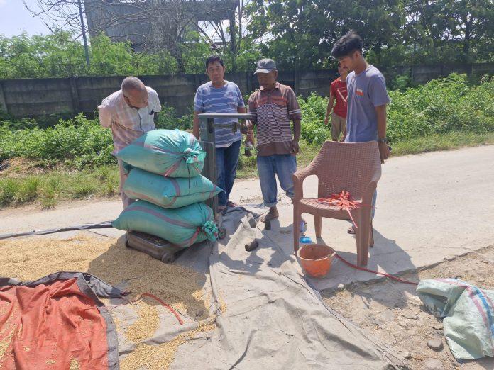 Bulog Lebak–Pandeglang menjemput gabah petani di masa panen (Bantentv.com/ Nano)