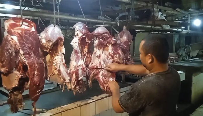 Disperindag Lebak mengklaim pasokan sapi lokal aman (Bantentv.com/ Nano)