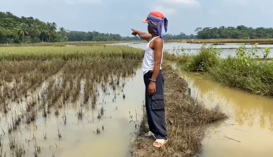 Puluhan hektare sawah warga Cisangu terendam banjir berulang (Bantentv.com/ Nano)