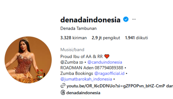 Bio instagram Denada