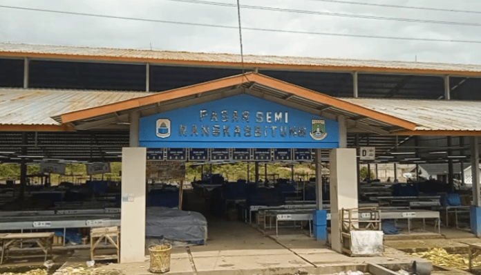 Pasar Semi Rangkasbitung