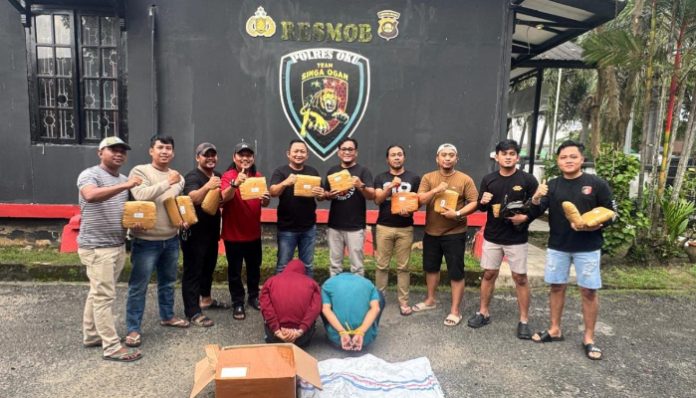 Polres Serang bongkar jaringan ganja antarprovinsi, 3 tersangka ditangkap (Foto: Dok. Istimewa)