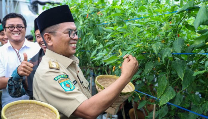 Gubernur Banten Andra Soni saat meninjau budidaya cabai berbasis greenhouse di lingkungan pesantren Raudhatul Ihsan.