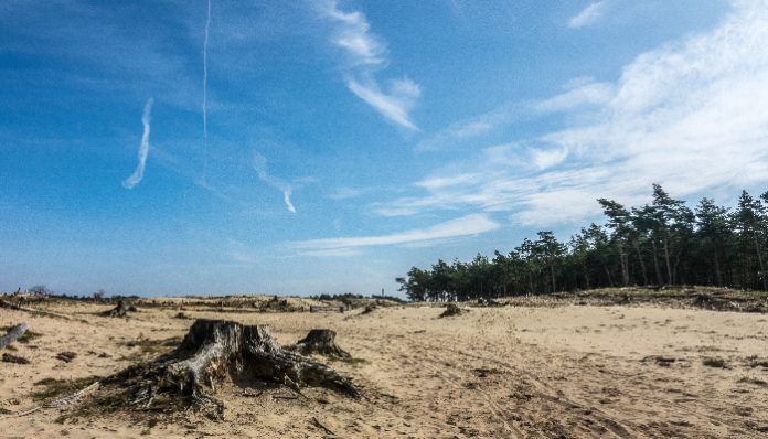 April awal musim kemarau di Indonesia, berikut daftar wilayahnya (Foto/Freepik)
