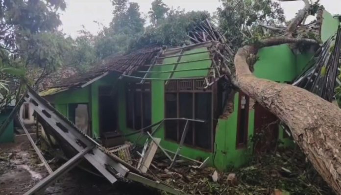 Sebuah pohon mahoni berukuran besar tumbang dan menghancurkan rumah milik Suparti (45), warga Kampung Pakojan, Desa Muruy, Kecamatan Menes.