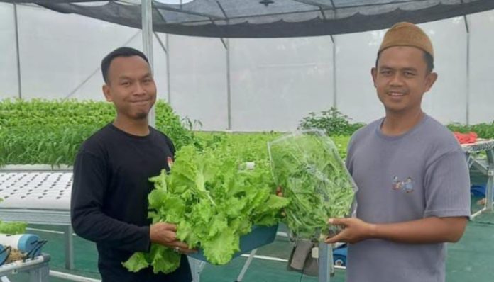 Pokdarwis Desa Kubang Baros hadirkan wisata edukasi pertanian modern.