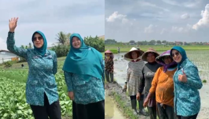 Ketua TP PKK Kota Serang bersama Wakil Ketua TP PKK Kota Serang melakukan kunjungan Bina Wilayah ke Lingkungan Kebon Kepuh, Kelurahan Sawah Luhur, Kecamatan Kasemen (Foto: Bantentv.com/ Jaya)
