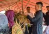 Bupati Lebak saat meninjau panen raya di Rangkasbitung Barat (Foto: Bantentv.com/ Nano)