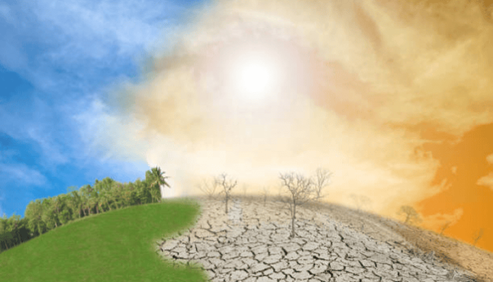 Ilustrasi dampak El Nino (Foto/iStockphoto)