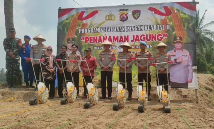 Ditpolairud Polda Banten menggencarkan tanam jagung (Foto: Bantentv.com/ Ali)