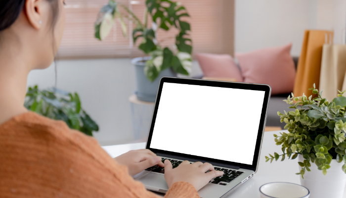 WFH ASN Mulai April, Pemerintah Pastikan Layanan Tetap Normal