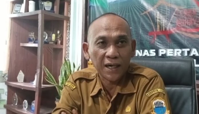 Kepala Dinas Pertanian Kabupaten Lebak Rahmat Yuniar